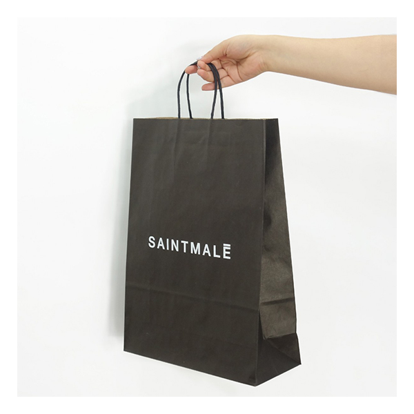 Bolsa Papel Kraft BP12