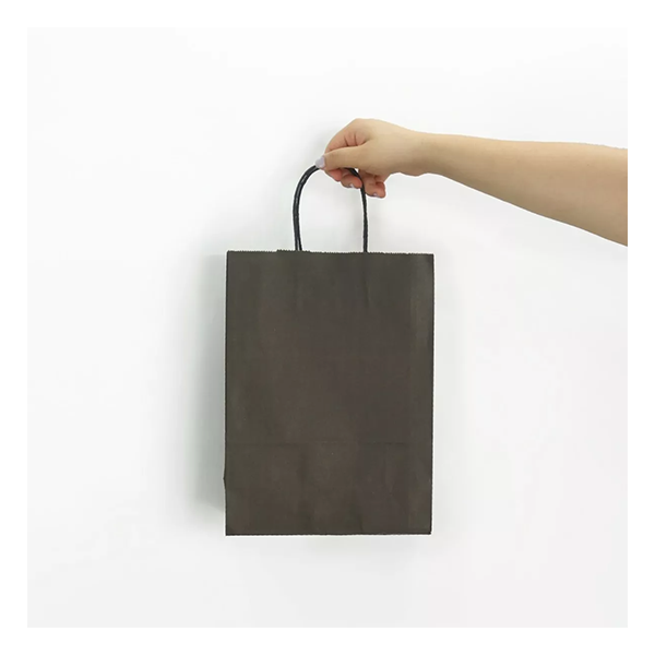 Bolsa Papel Kraft BP10