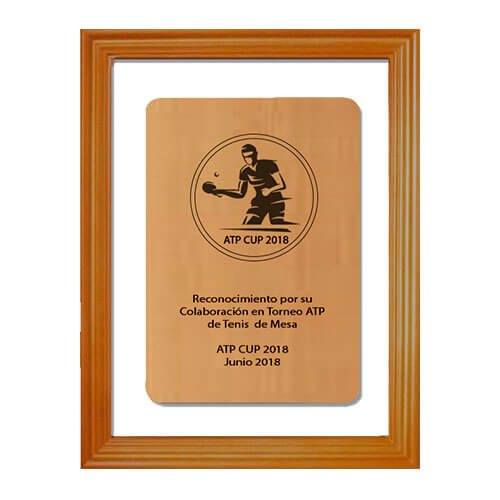 Galvano Vidrio con Madera