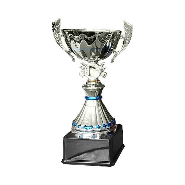 Copa VIC
