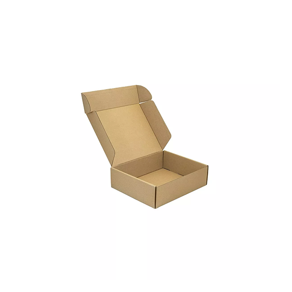 Caja Cartón Autoarmable Microcorrugado CC07