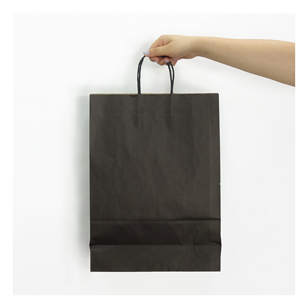 Bolsa Papel Kraft BP12