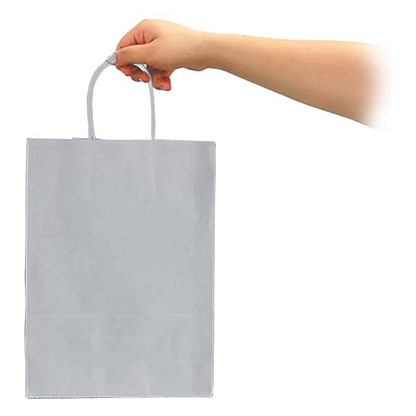 Bolsa Papel Kraft BP10