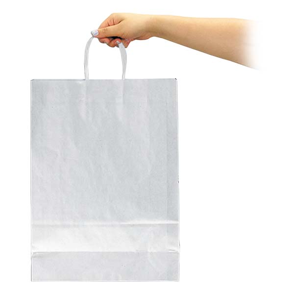 Bolsa Papel Kraft BP12