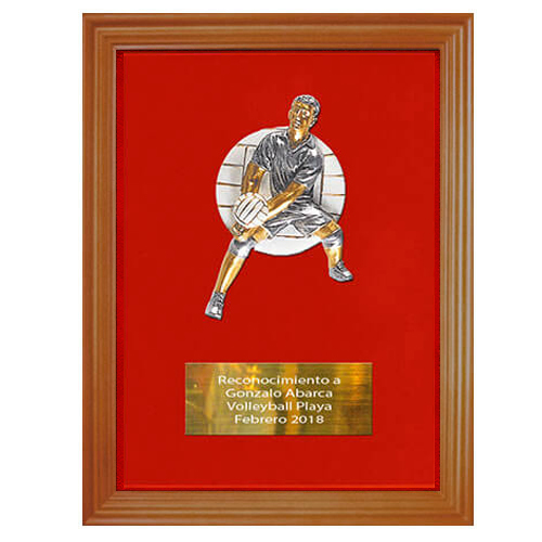 Galvano Madera Terciopelo