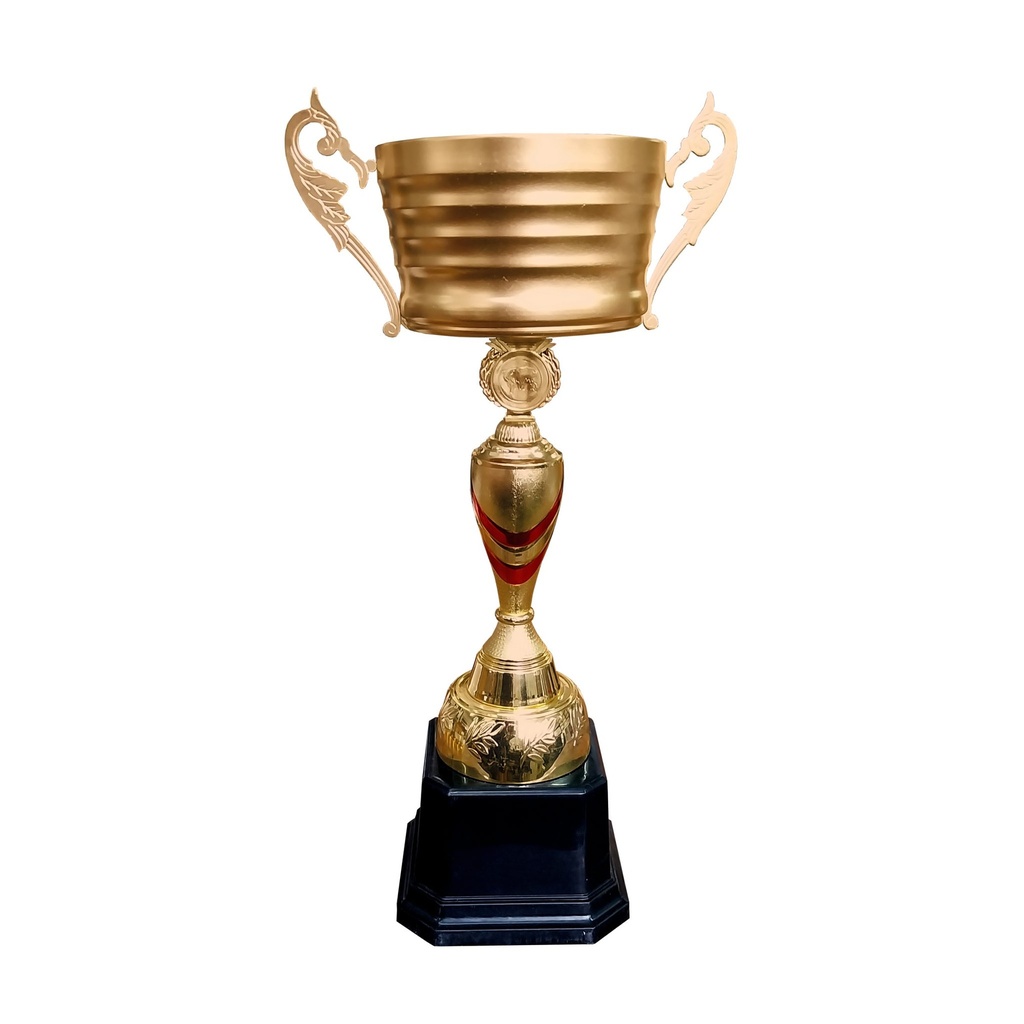 Copa-IDE-B-2048x2048.jpg