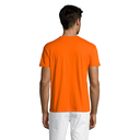 vc11380400B-1729370500.png