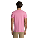 vc11380136B-1729371117.png
