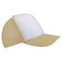 GR30-Beige-2048x2048.jpg