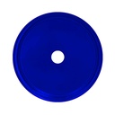 tapa-azul_2.jpg