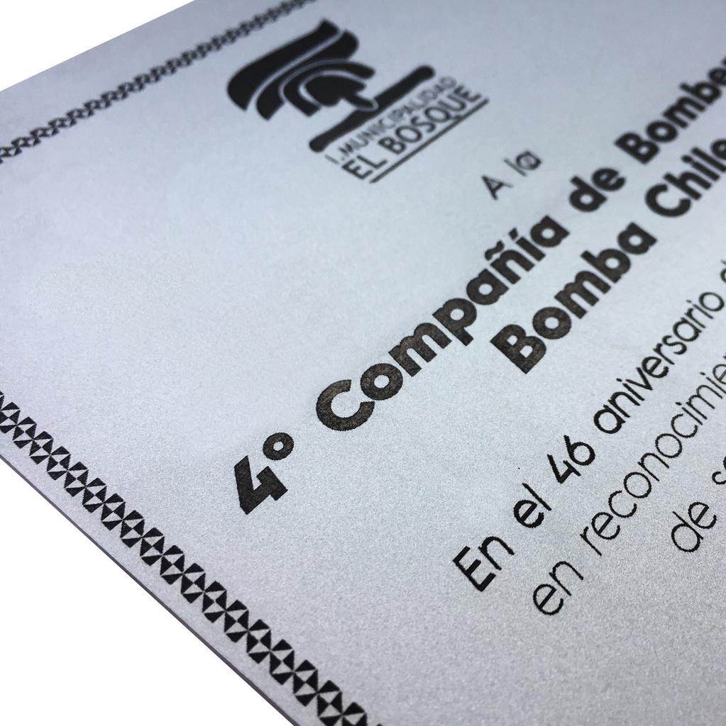 bicapa-gris-letras-negras.jpg