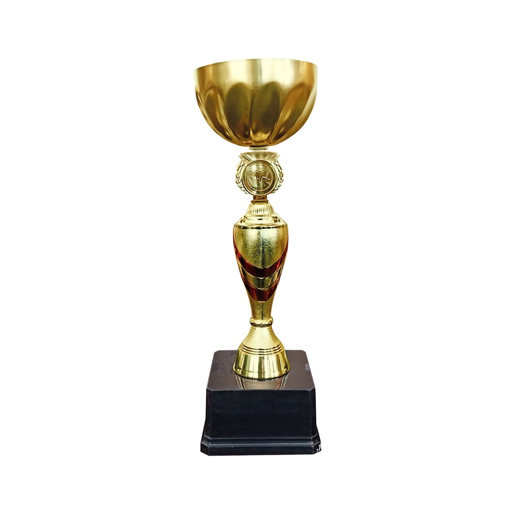 Copa-GIO-C-scaled.jpg