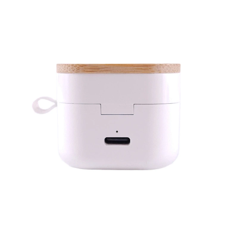 Auriculartempo1-1729456131.webp