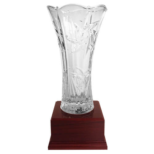 Copa DBR   30 cms.