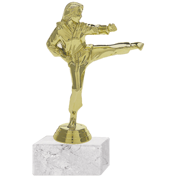 Trofeo Plástico Karate Femenino 2 (198)   18 cms.