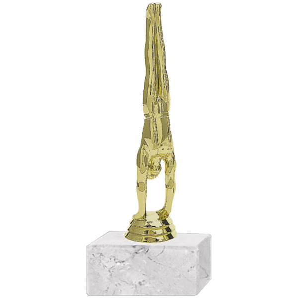 Trofeo Plástico Gimnasia Hombre (204)   19,5 cms.