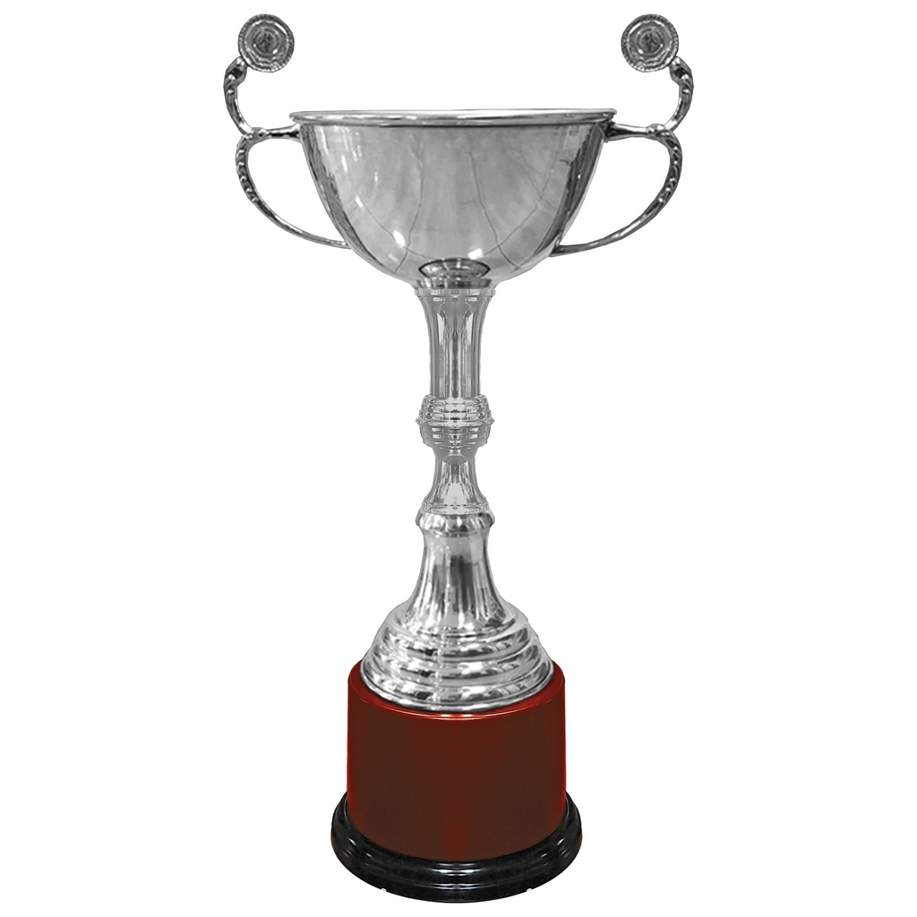 Copa Super Campeón 737