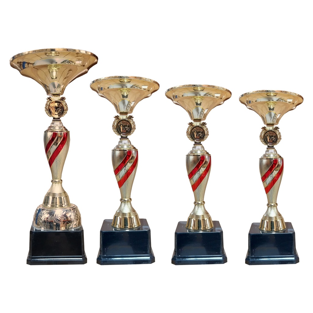 Copa ZK