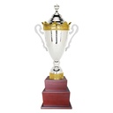 Copa H200