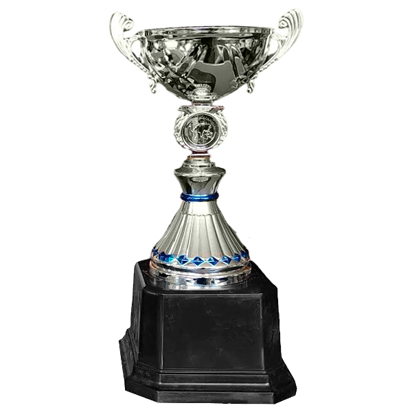 Copa VIC