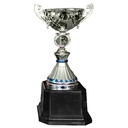 Copa VIC