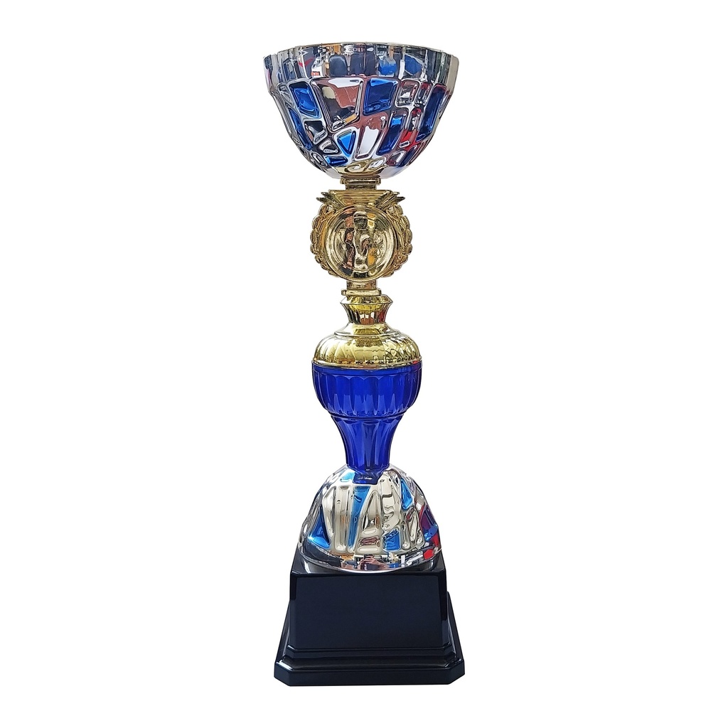 Copa SBA10   27,5 cms.