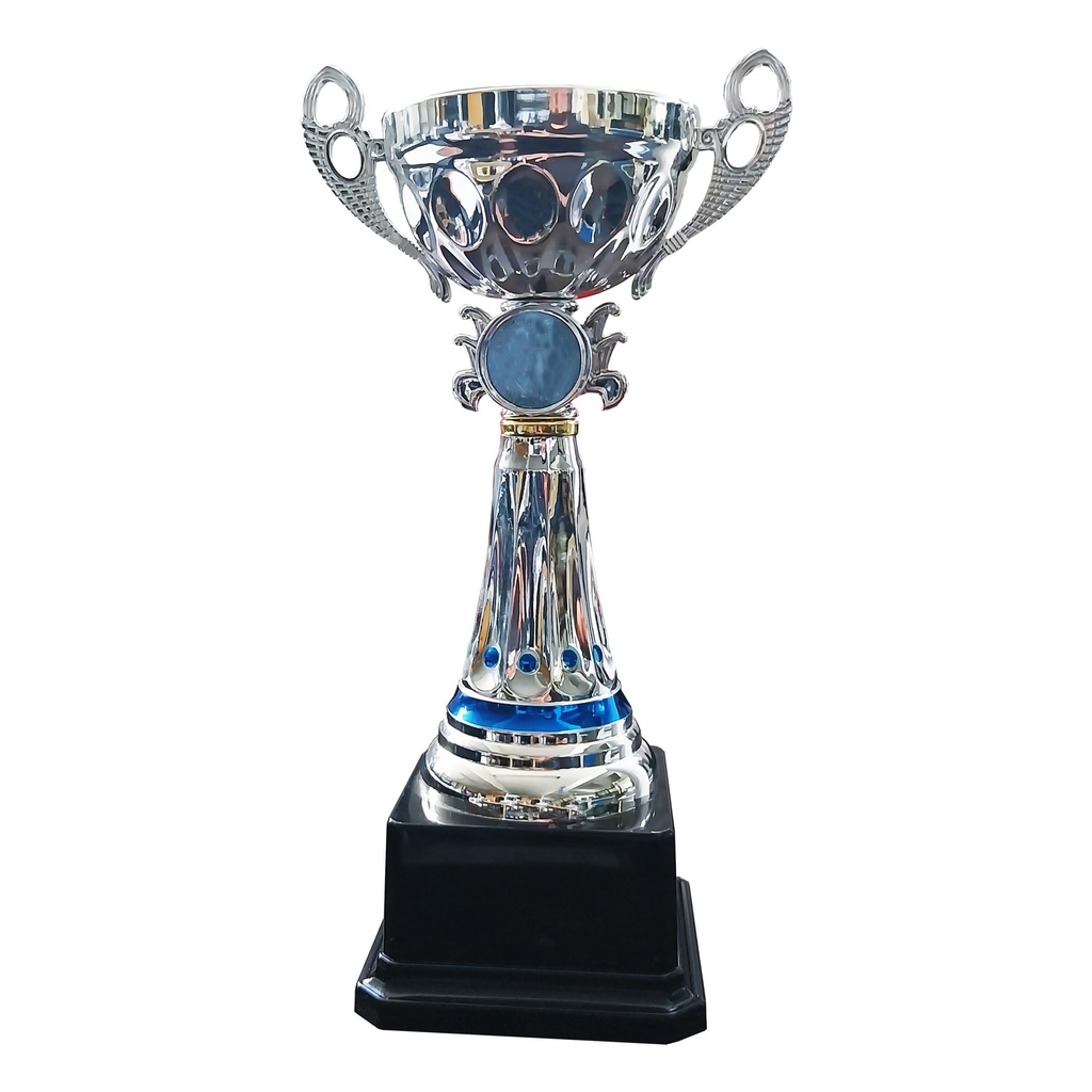 Copa RDO10   23,5 cms.