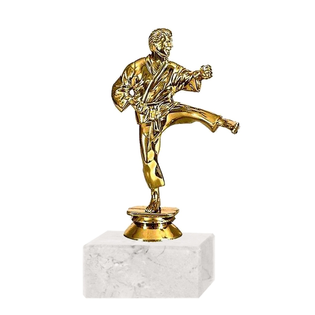 Trofeo Plástico FR Karate Mediano (327)   15 cms.